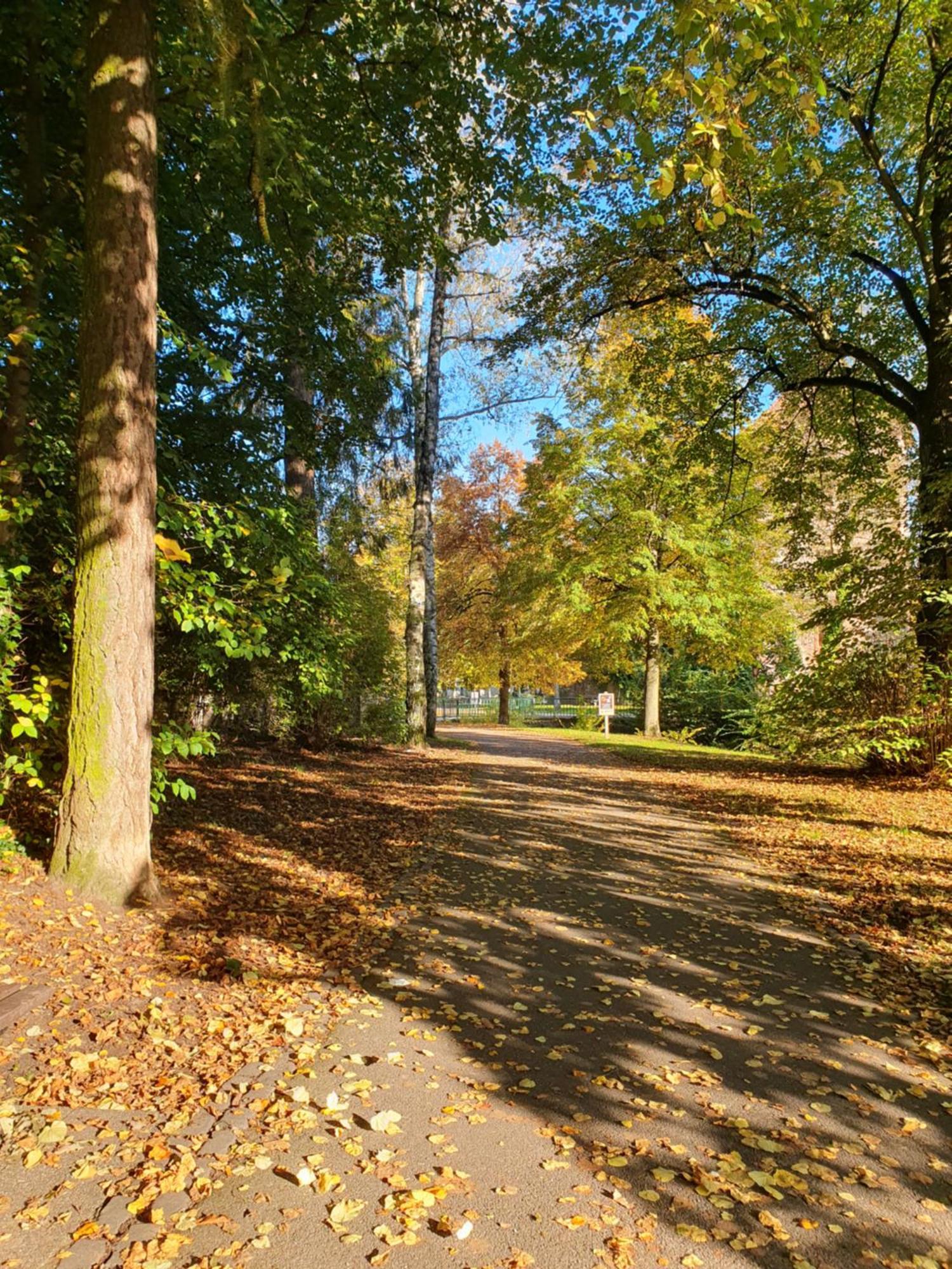 Les Tilleuls Wissembourg Kültér fotó